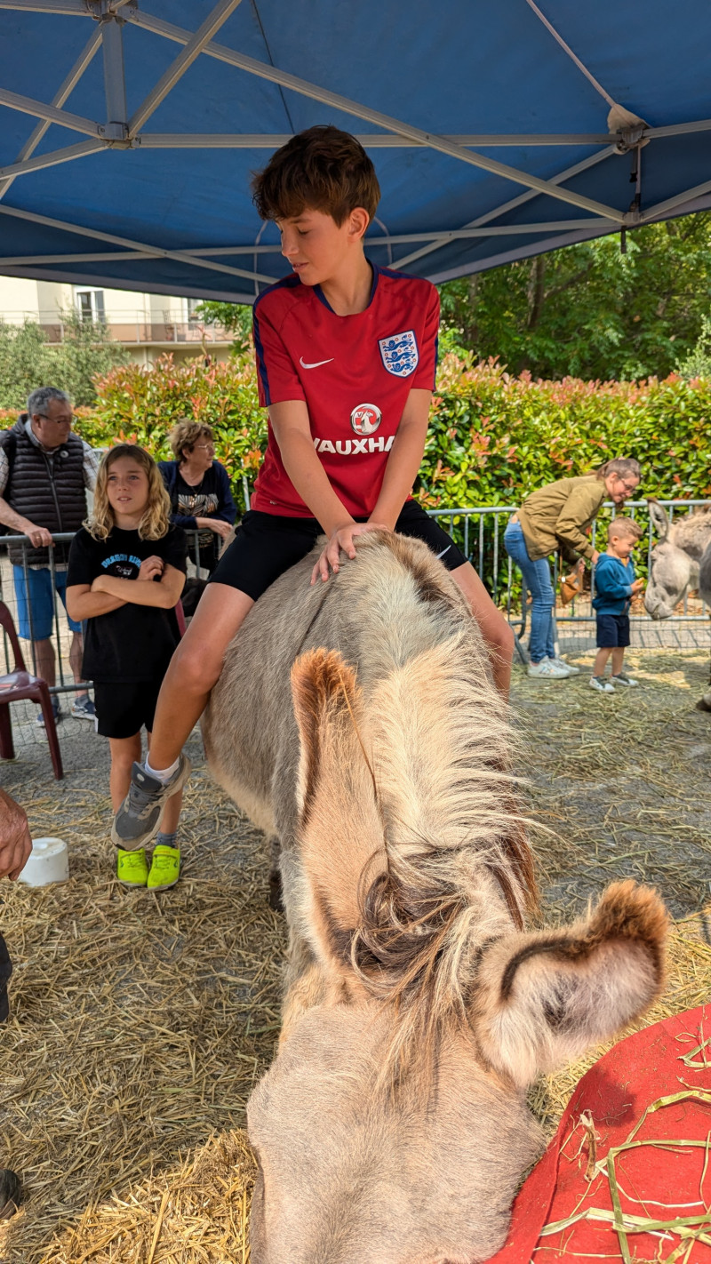 La petite ferme
