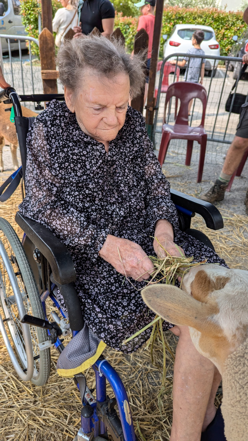 La petite ferme