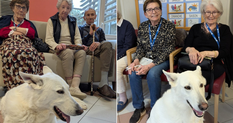 actualité EHPAD SEDNA