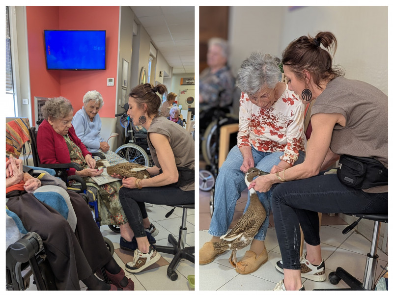 résidence médicalisée SEDNA France