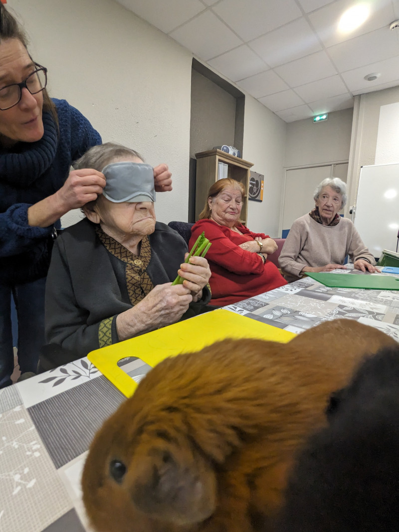 Médiation animale thérapeutique