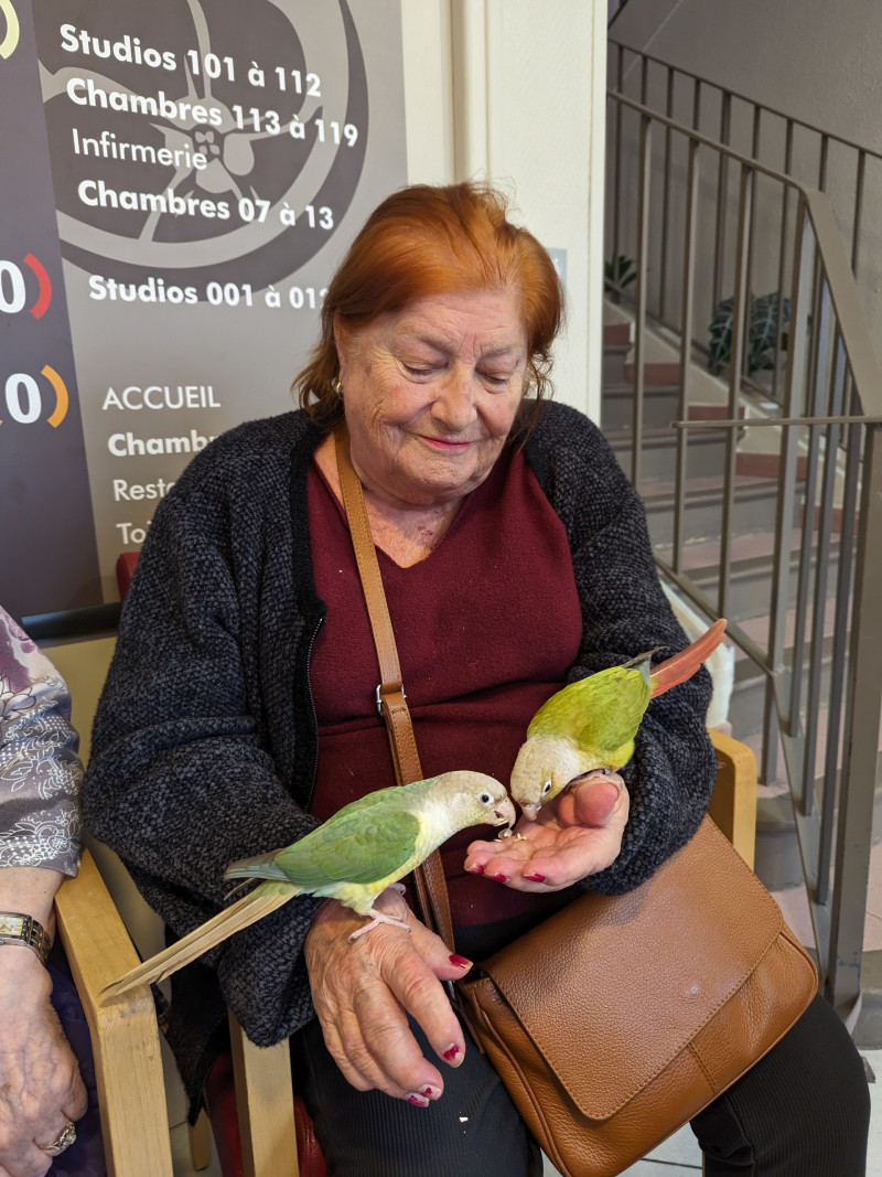 actualité EHPAD SEDNA