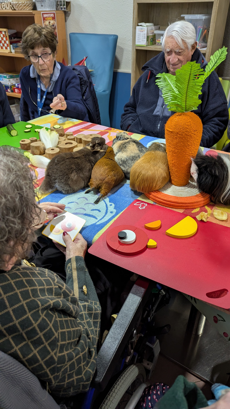 actualité EHPAD SEDNA