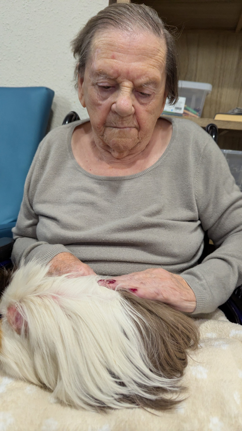 Médiation animale thérapeutique