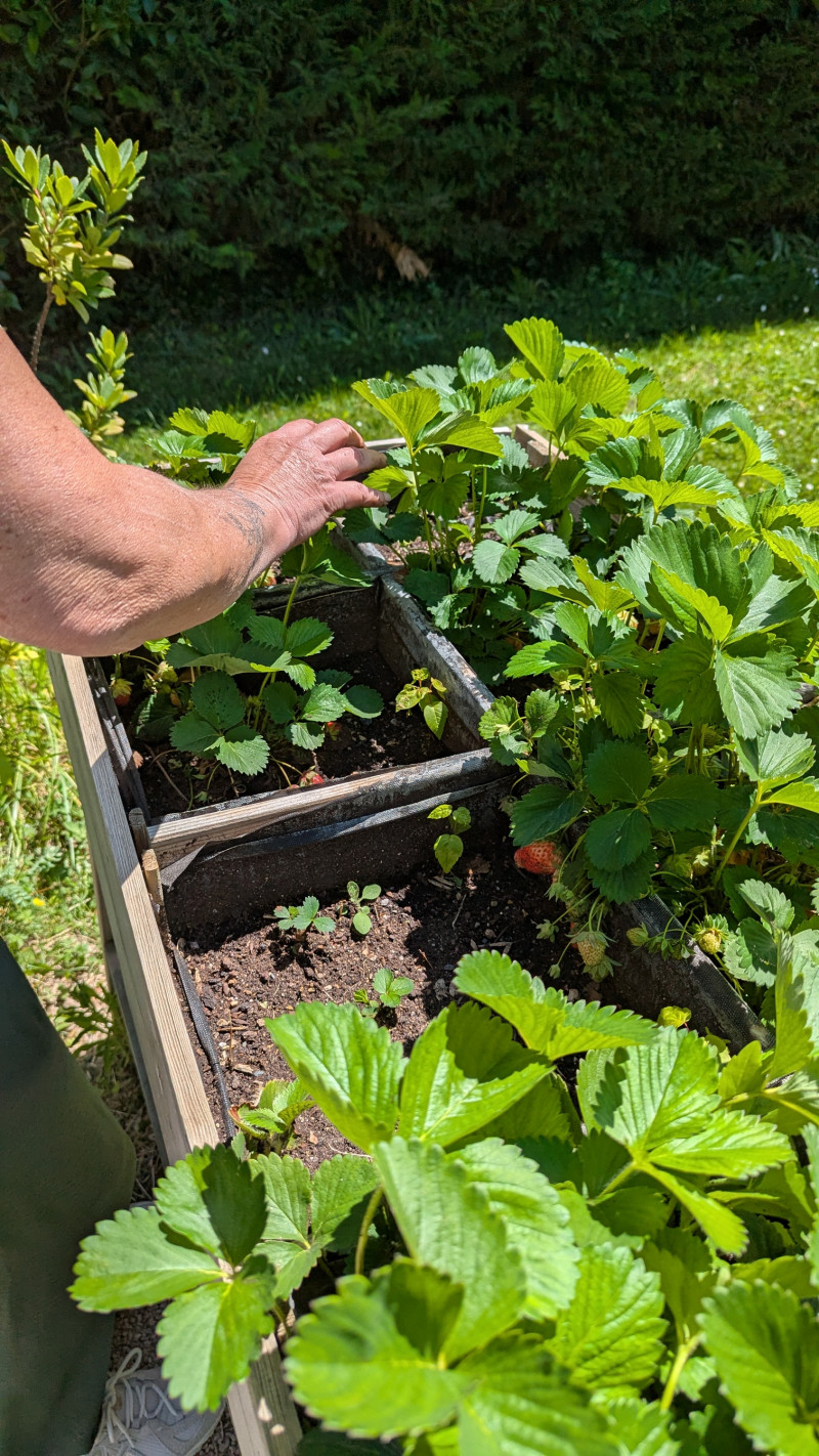Atelier jardinage