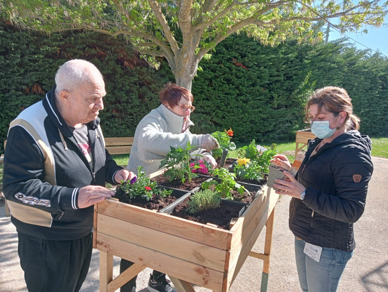 Jardin thérapeutique