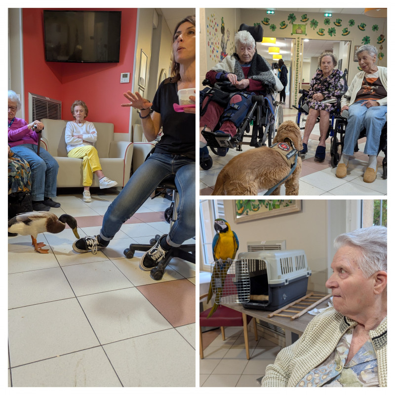 résidence médicalisée SEDNA France