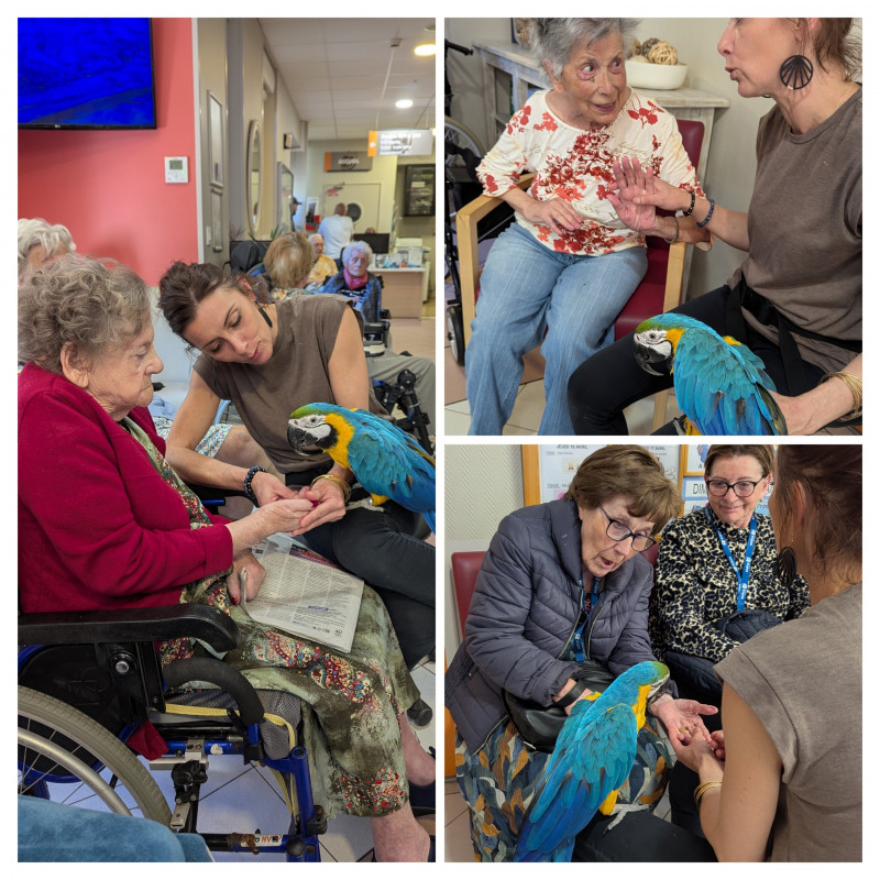 Médiation animale pour tous