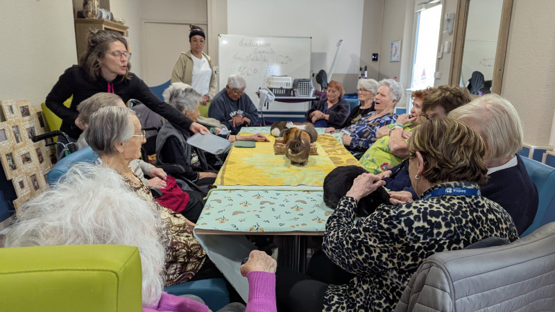 Médiation animale thérapeutique